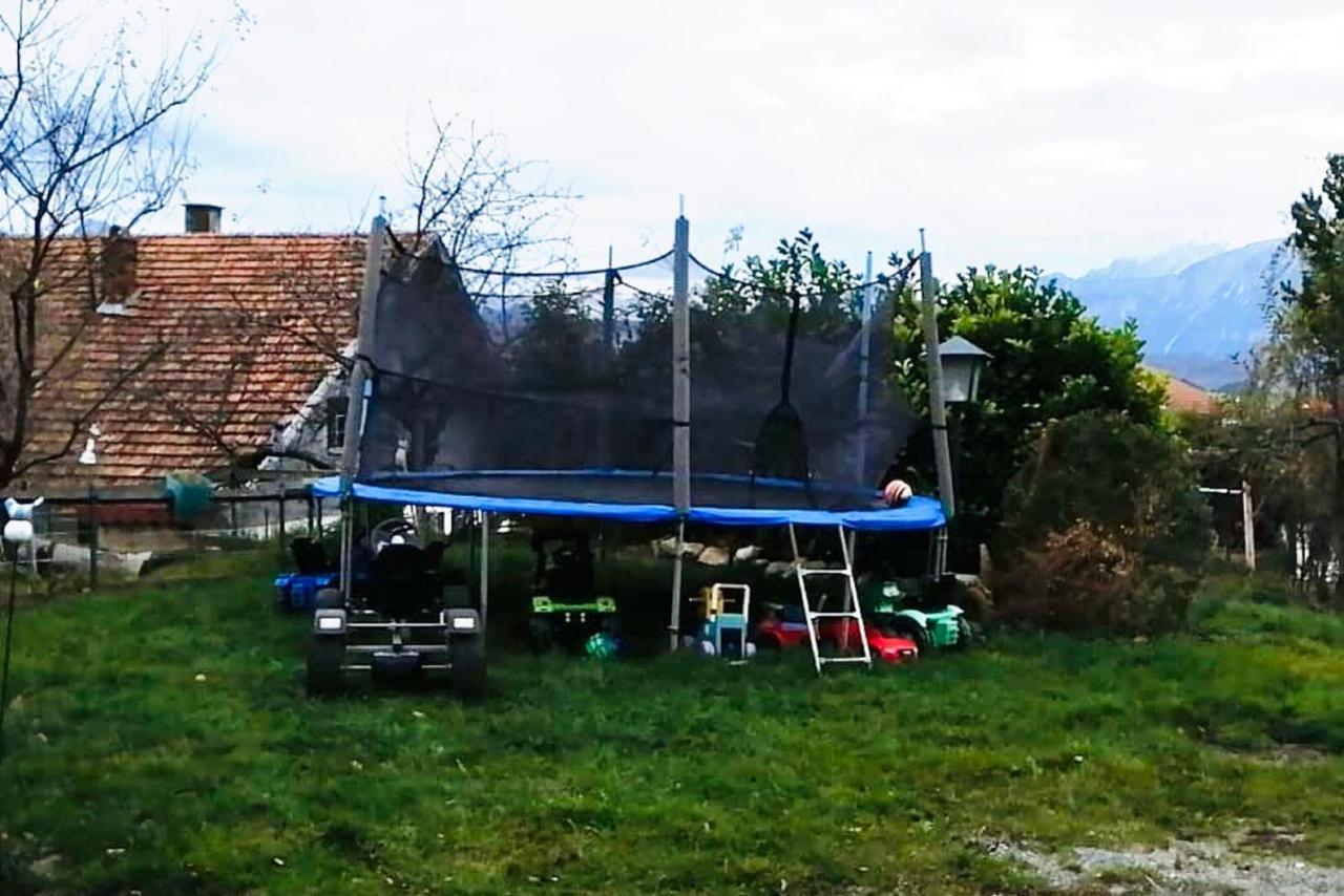 Panoramahof Ferienwohnung Hopferau Dış mekan fotoğraf